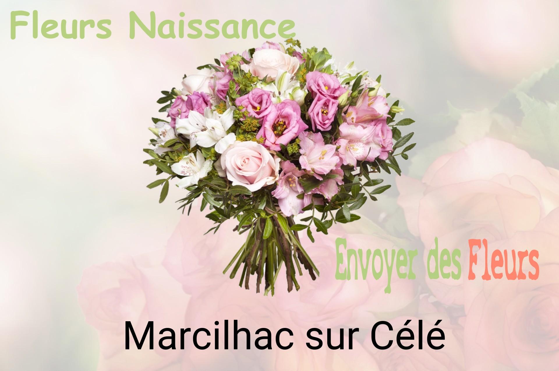 Bouquet de fleurs de naissance livré à Marcilhac-sur-Célé